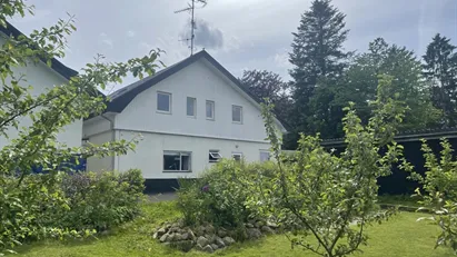 Hyggelig Andel i fredeligt område